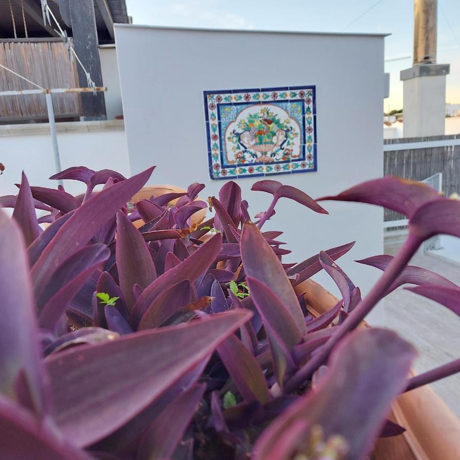 Casa Dei Filodendri Apartman San Pietro in Bevagna Szoba fotó